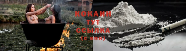 COCAINE Каменск-Шахтинский