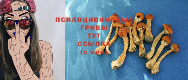 jwh Каменка