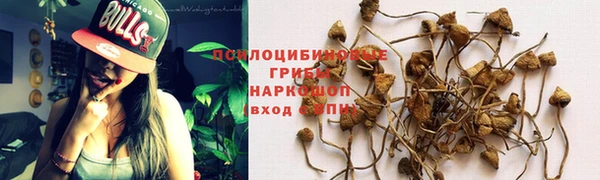 COCAINE Каменск-Шахтинский