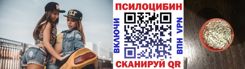Псилоцибиновые грибы MAGIC MUSHROOMS  Купить закладки  Гурьевск 